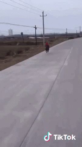 Aşktan kaçan mısın yoksa aşkı kovalayan mısın?