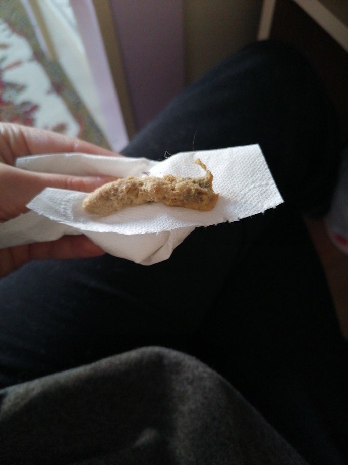 Merhaba sorum özellikle kedi sahiplerine?