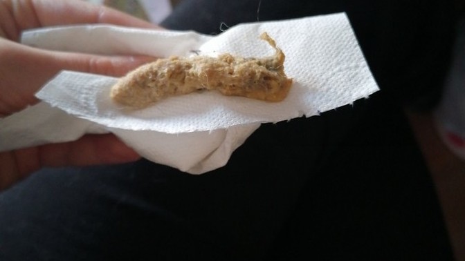 Merhaba sorum özellikle kedi sahiplerine?