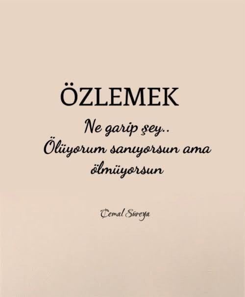Özleyen misiniz, yolları gözlenen mi?