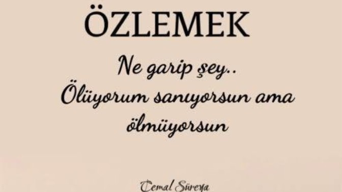 Özleyen misiniz, yolları gözlenen mi?