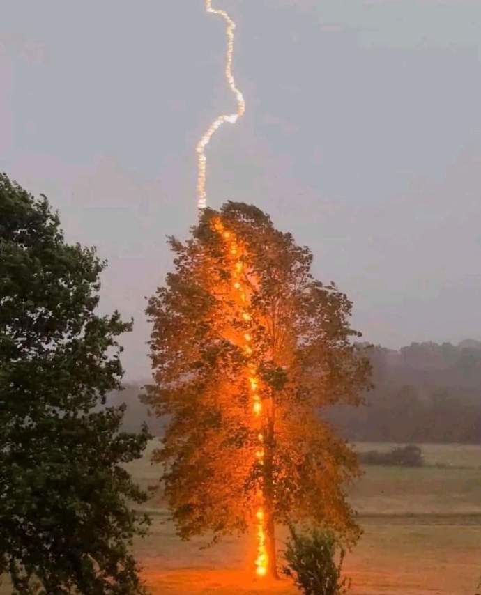 Şu an enerjik misin?