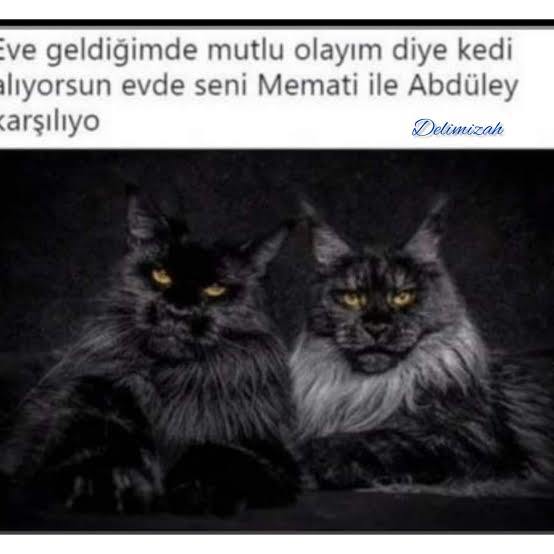 Kaçırıldınız, galerinizdeki son kişi sizi kurtarmaya geliyor! Kim olurdu?