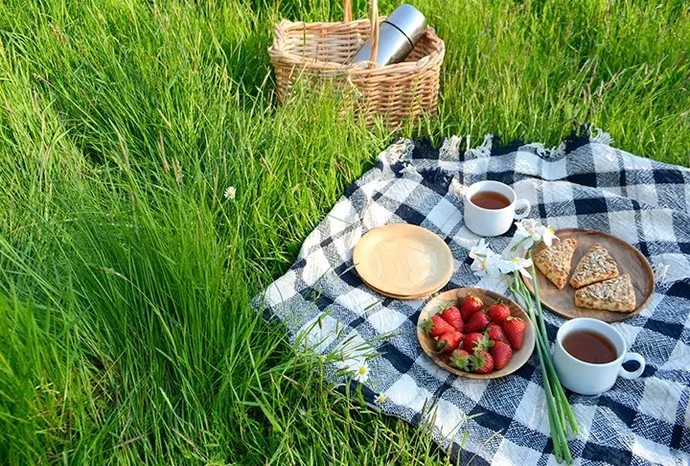 Piknik yapacak olsanız, sepetinizde hangi yiyecek/içecek olur?