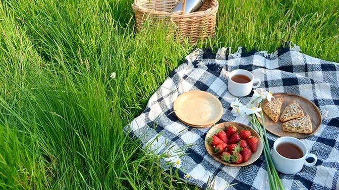 Piknik yapacak olsanız, sepetinizde hangi yiyecek/içecek olur?