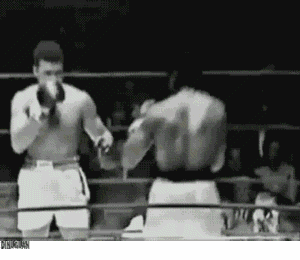 En sevdiğiniz dövüş sporu sizin için hangisidir?