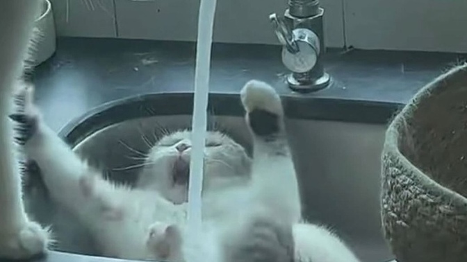 Sırf ayıp olmasın diye yaptığınız şeyler var mı?