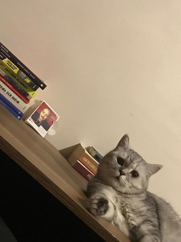 Sakin Agâh.