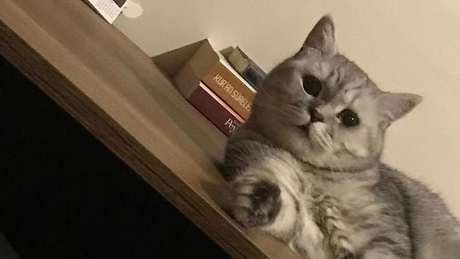 Sizi en son şaşırtan ne oldu?