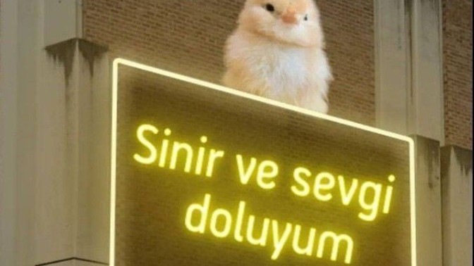 İçin neler ile dolu?