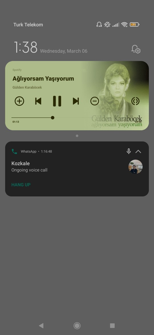 Ne dinliyonuz ne?