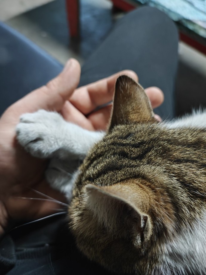 Ona baktıkça içim gidiyor dediğiniz biri var mı veya oldu mu?