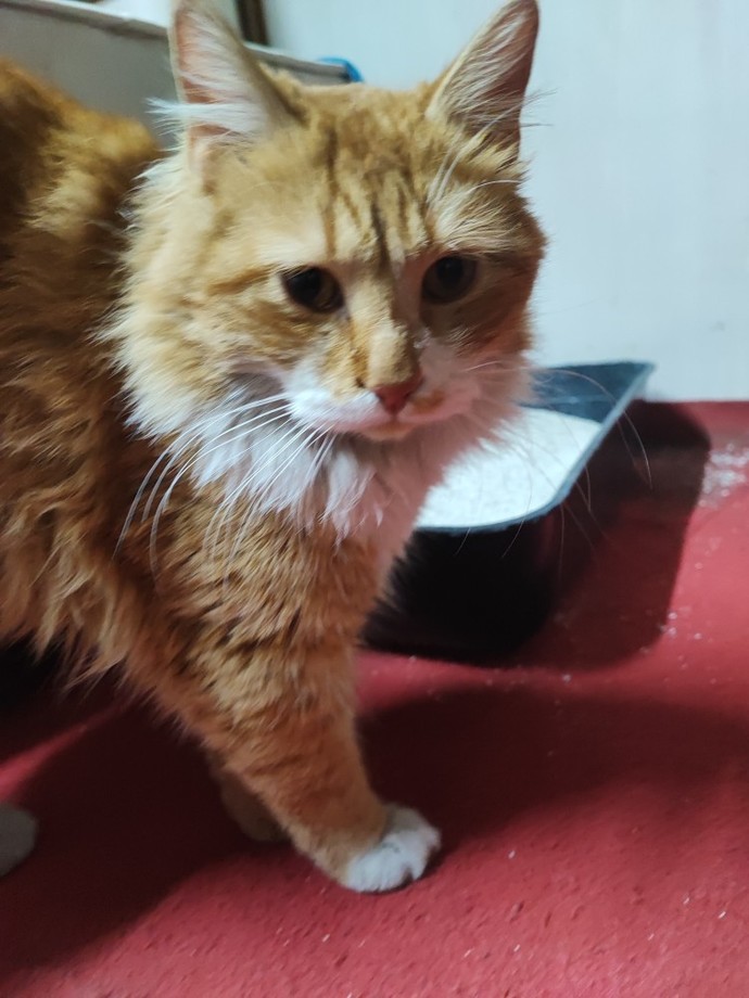 Ona baktıkça içim gidiyor dediğiniz biri var mı veya oldu mu?