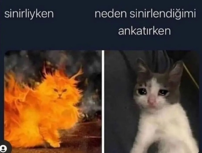 Sinirliyken nasıl insan oluyorsunuz?