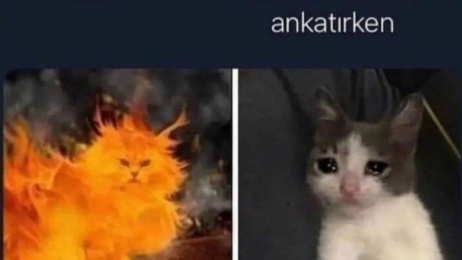 Sinirliyken nasıl insan oluyorsunuz?