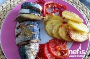 Hangi balığı tercih edersin?