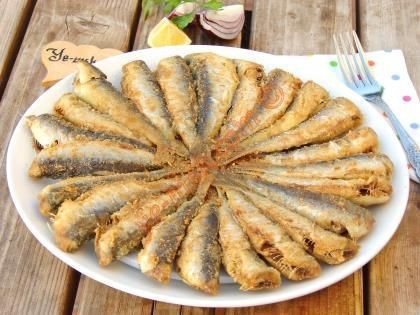 Hangi balığı tercih edersin?