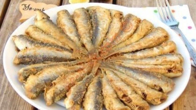 Hangi balığı tercih edersin?