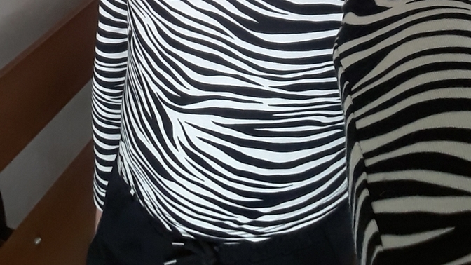 Zebra desenli bluzum nasil asklar?