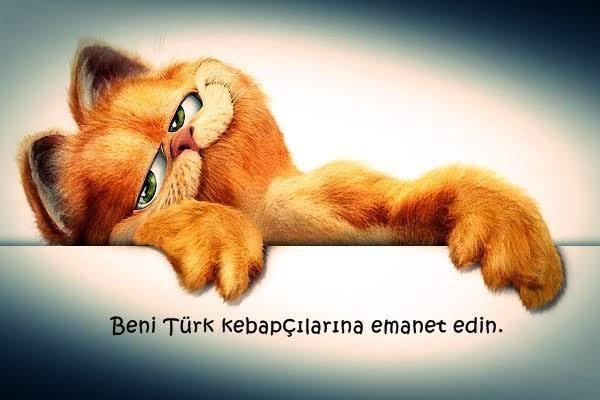 Bugüne kadar gördüğünüz en ilginç Whatsapp durumu nedir?