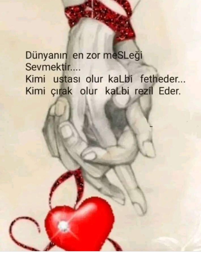 Sevmek en zor meslek mi?