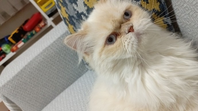 Biricik oğluma bakın, çok tatlı değil mi?