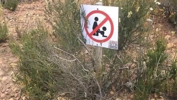 Sekste yasaklar olmalı mı?