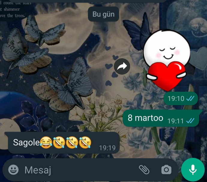 Herkese şablon mesaj arkadaşıma böyle sjshj