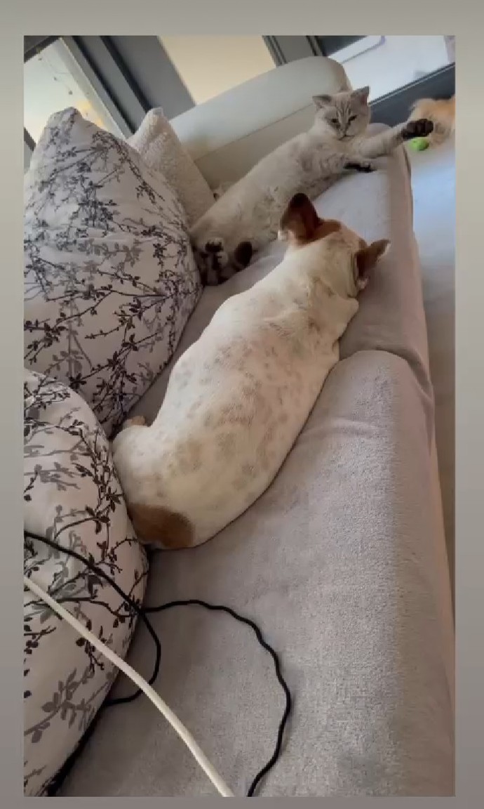 Öfkeli veya üzgün olduğunda bütün öfkeni alıp yerin mutluluk getiren biri var mi hayatinda?