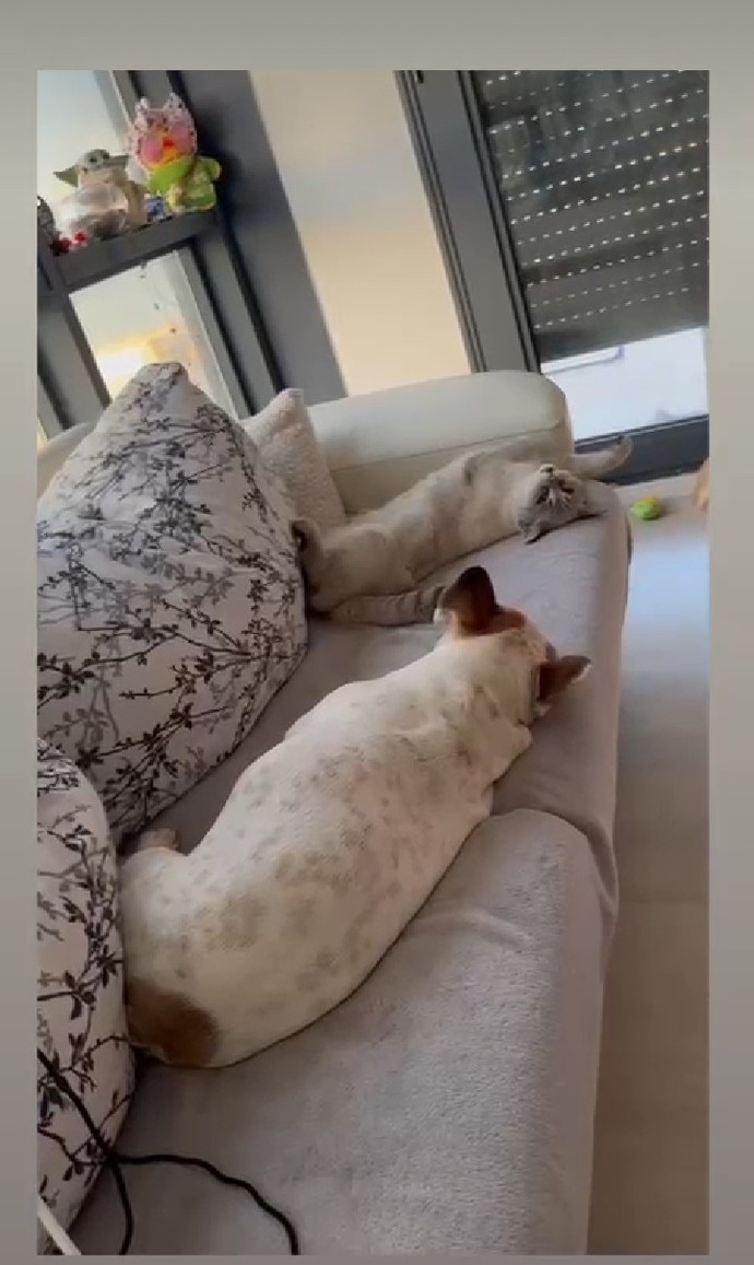 Öfkeli veya üzgün olduğunda bütün öfkeni alıp yerin mutluluk getiren biri var mi hayatinda?