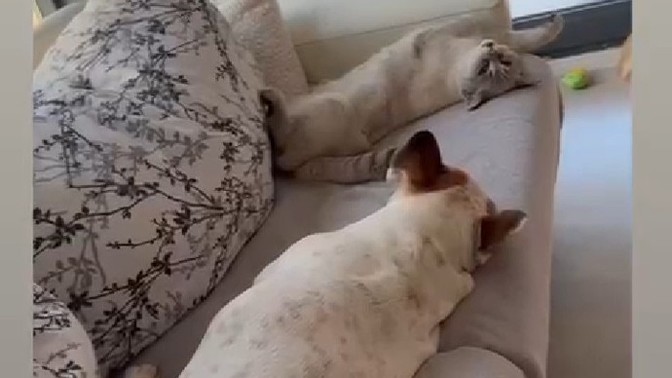Öfkeli veya üzgün olduğunda bütün öfkeni alıp yerin mutluluk getiren biri var mi hayatinda?