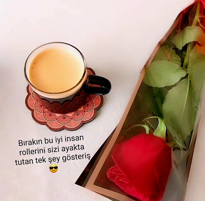 Whatsapp güncellemesine en son neyi paylaştınız ?