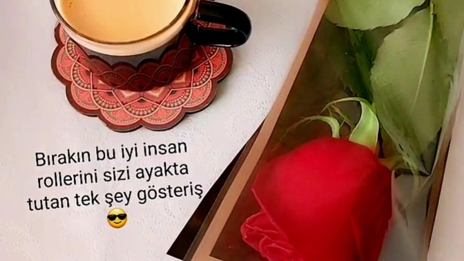 Whatsapp güncellemesine en son neyi paylaştınız ?