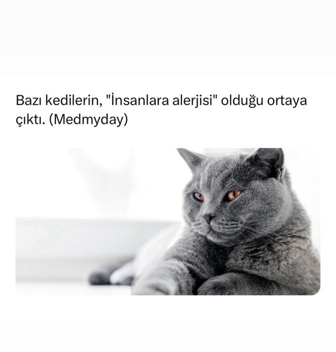 Sizin kimlere pardon nelere alerjiniz var?