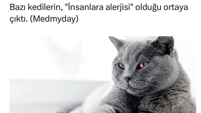 Sizin kimlere pardon nelere alerjiniz var?
