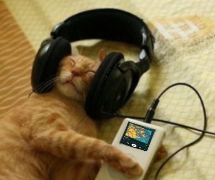 Kulaklıkla mı müzik dinlersin, hoparlörle mi?