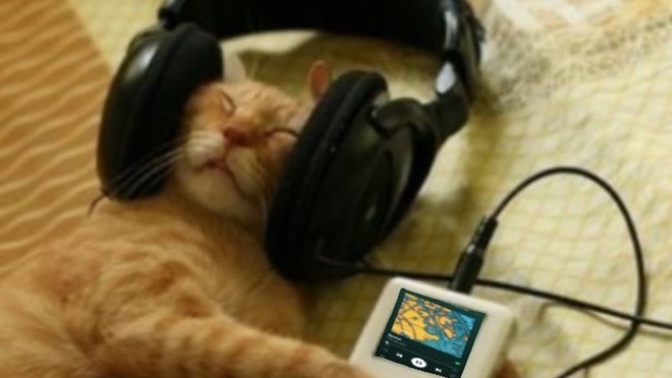 Kulaklıkla mı müzik dinlersin, hoparlörle mi?