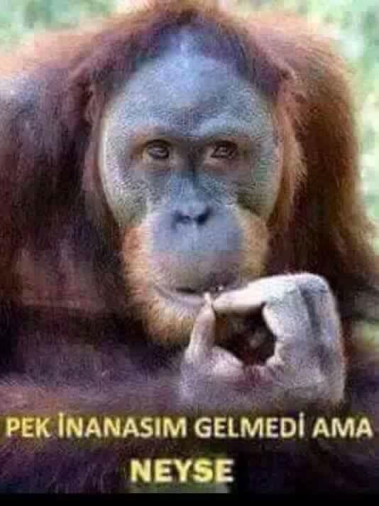 Pakistan'daki Çuf Çuf hoca kimdir?