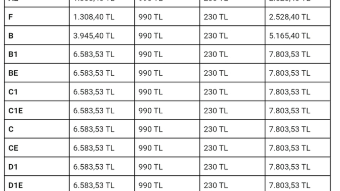 Ehliyetiniz var mı, hangi sınıf?