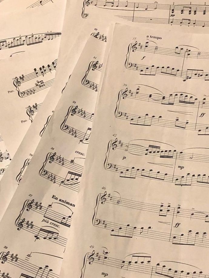 En sevdiğiniz,size hitap ettiğini düşündüğünüz sanat dalı nedir?