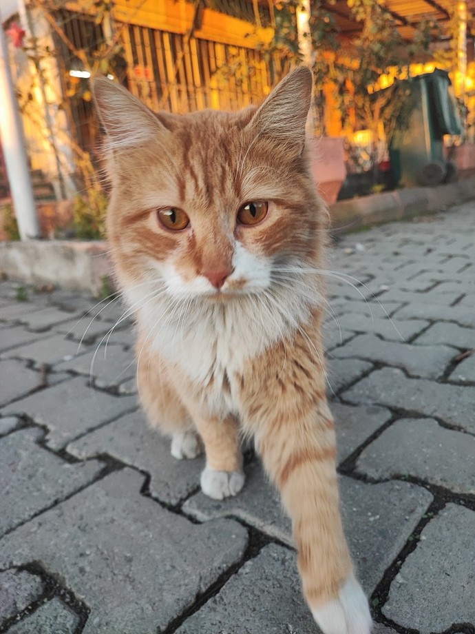 Size en çok huzur veren şey nedir?