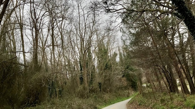 Yürüyüşe çıktığında en fazla kaç km yol yürüyorsun?