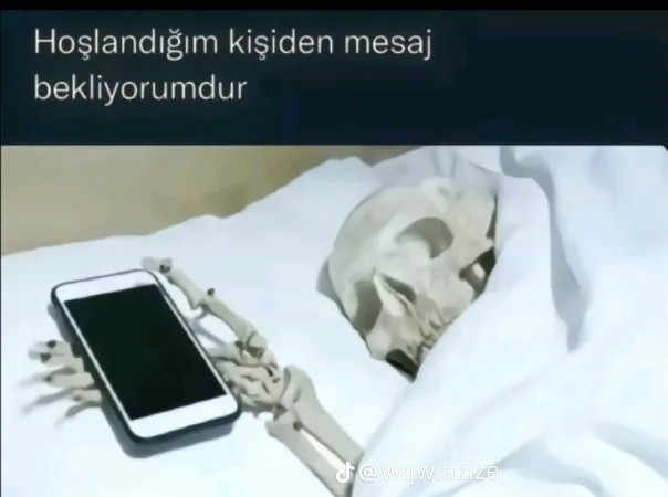 Attığınız mesaja hemen cevap alır mısınız?