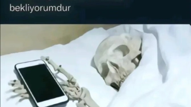 Attığınız mesaja hemen cevap alır mısınız?