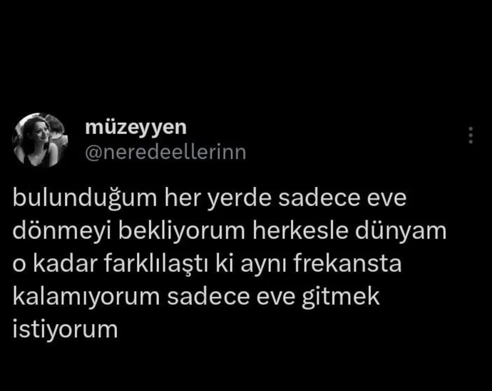 Evinizi seviyor musunuz?