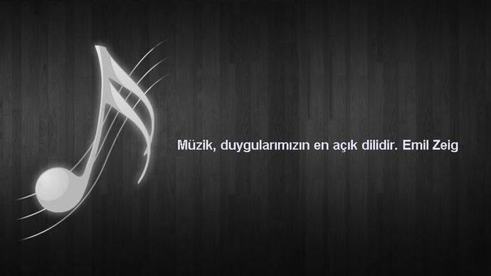 Sevdiğinize şarkılar ile mesaj verir misiniz?