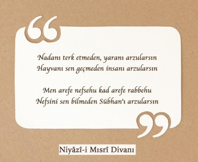 Nadanı terk etmedin yaranı arzularsın