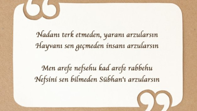 Nadanı terk etmedin yaranı arzularsın ne demek?