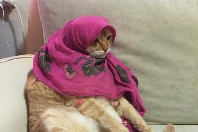 Canınız şu an hangi yemeği çekiyor✨?