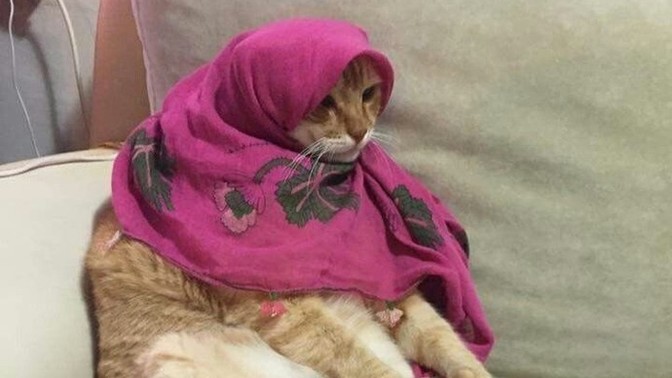 Canınız şu an hangi yemeği çekiyor✨?